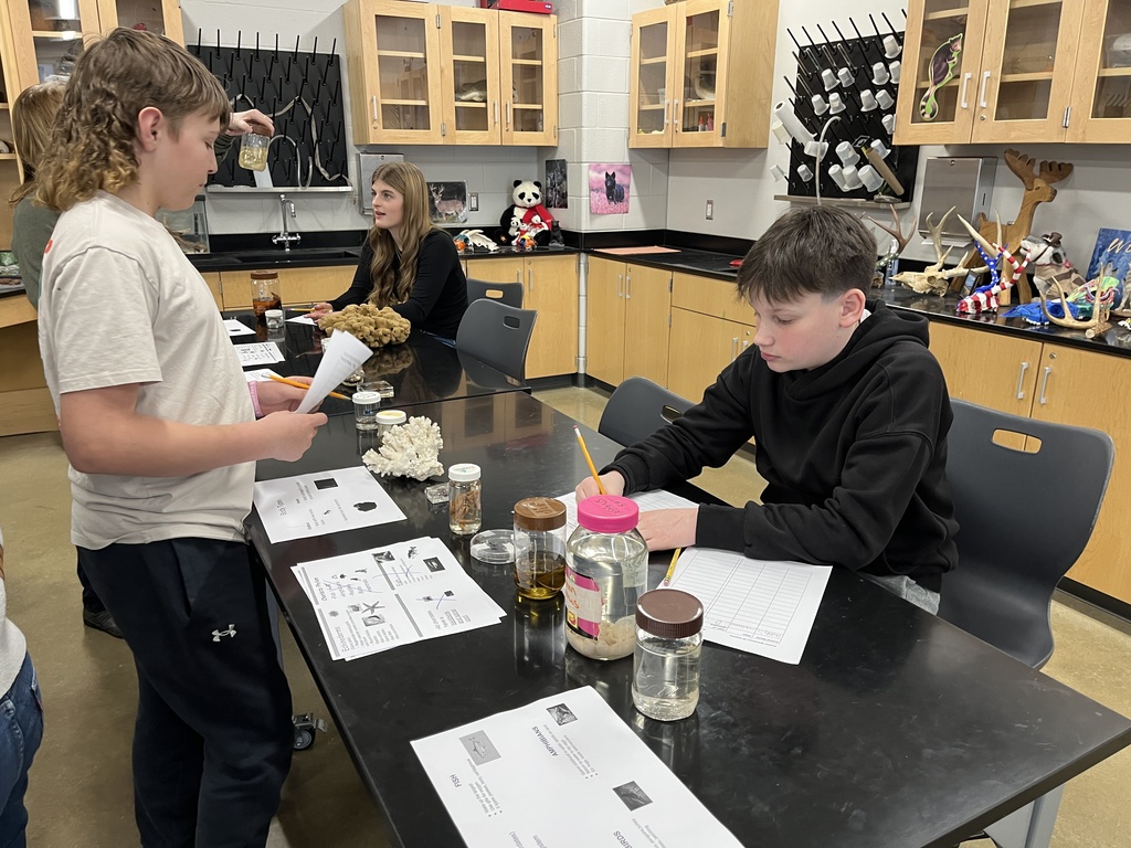 Students conduct a lab where they identify speciments. 