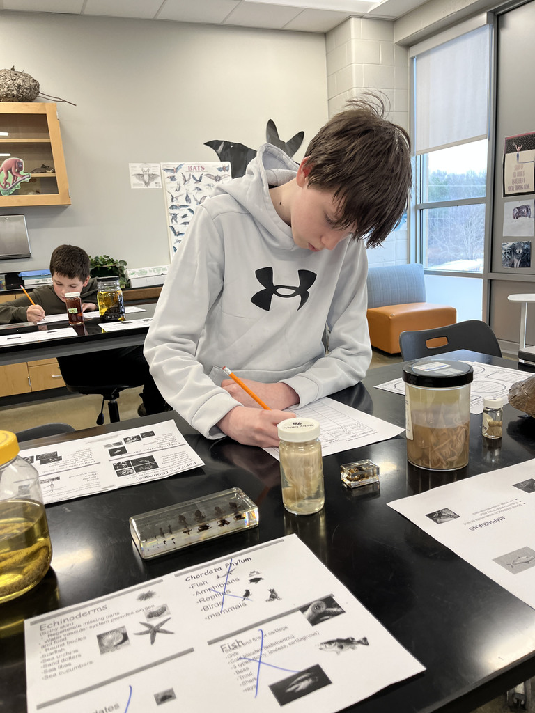 Students conduct a lab where they identify speciments. 