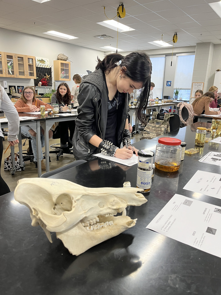 Students conduct a lab where they identify speciments. 