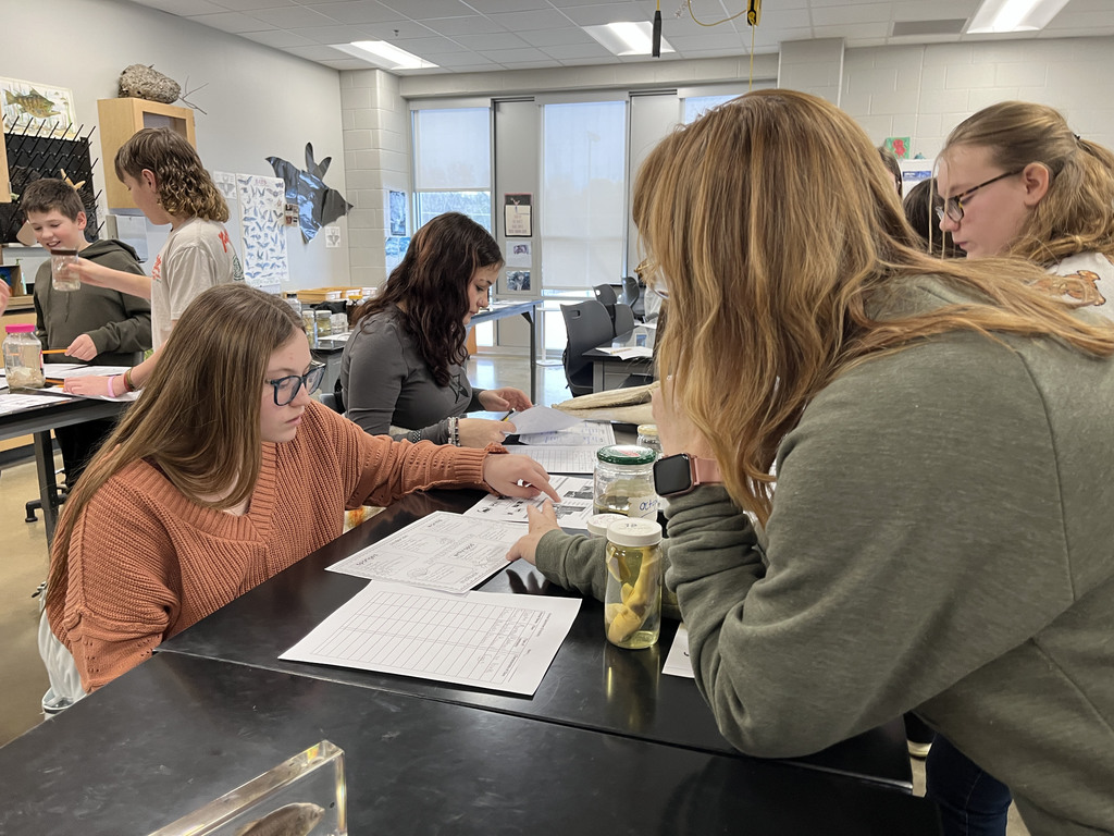 Students conduct a lab where they identify speciments. A teacher helps a student.