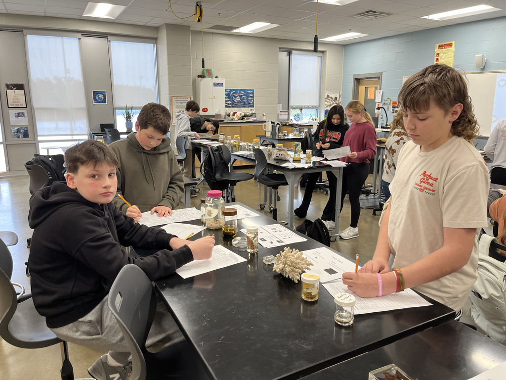 Students conduct a lab where they identify speciments. 