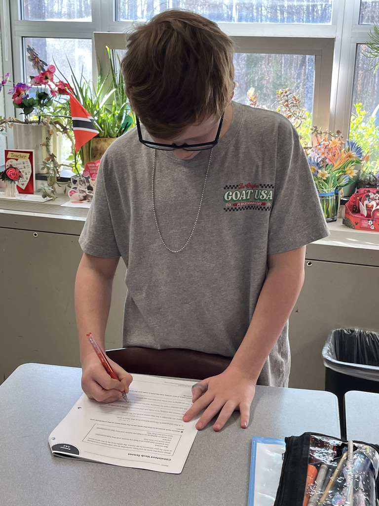 A student works on a lesson focused on strengthening grammar skills by working on consistent verb tenses.