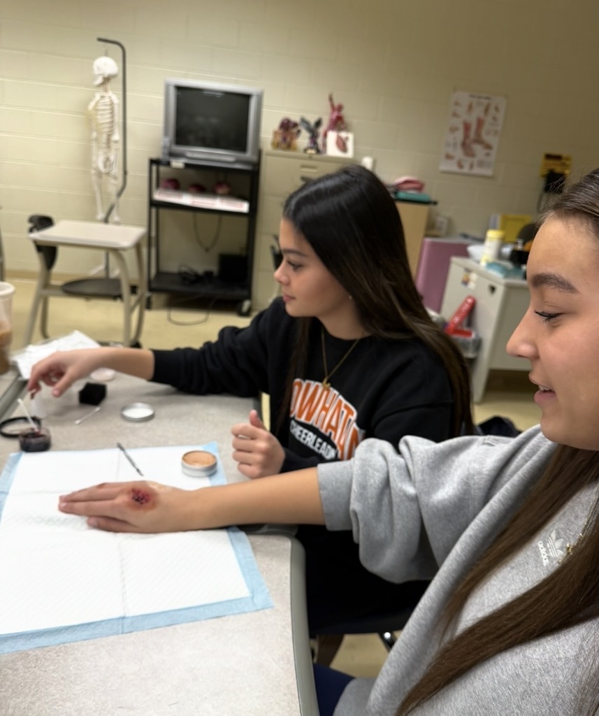 Students use makeup techniques to create realistic wounds and bruises as part of their study of the skin.