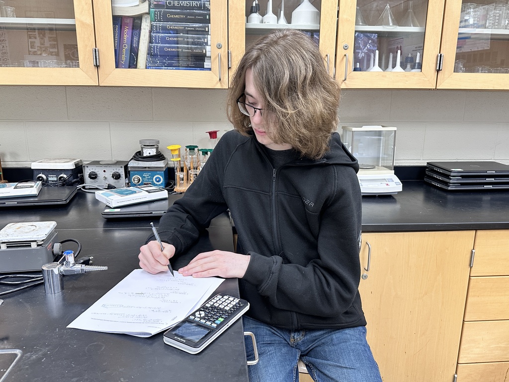 A student works on  a lab testing the pH of salt solutions.
