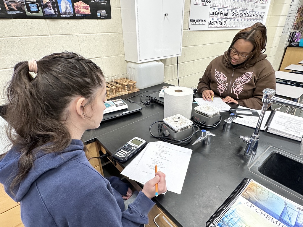 Students work on  a lab testing the pH of salt solutions.