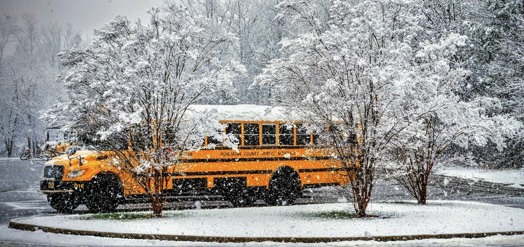 A photo of a school bus in a school parking lot and surrounding trees with everything covered in snow. 