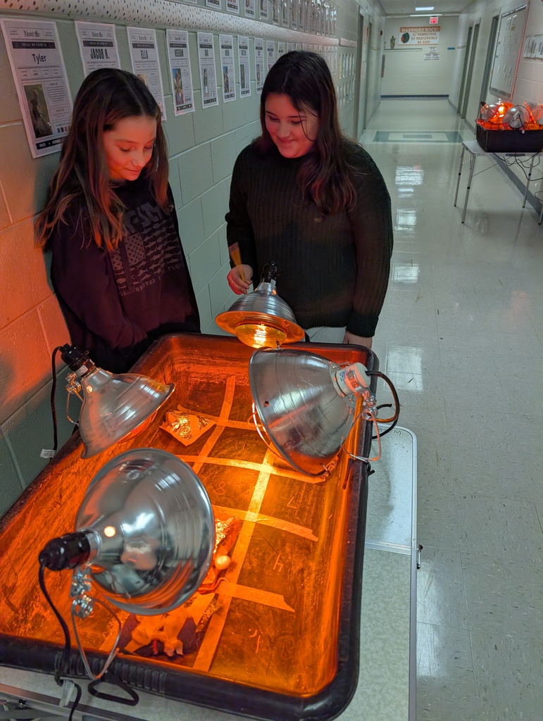 Students participate in an activity focused on thermal energy, insulators, and conductors.
