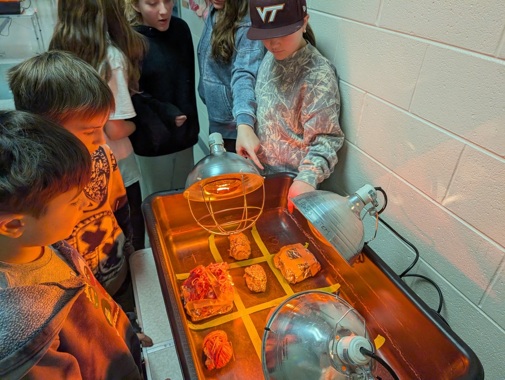 Students participate in an activity focused on thermal energy, insulators, and conductors.