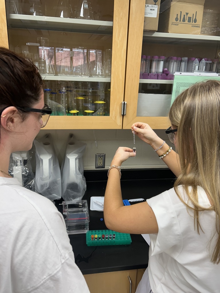 Students participate in a biotechnology lab in biology class.