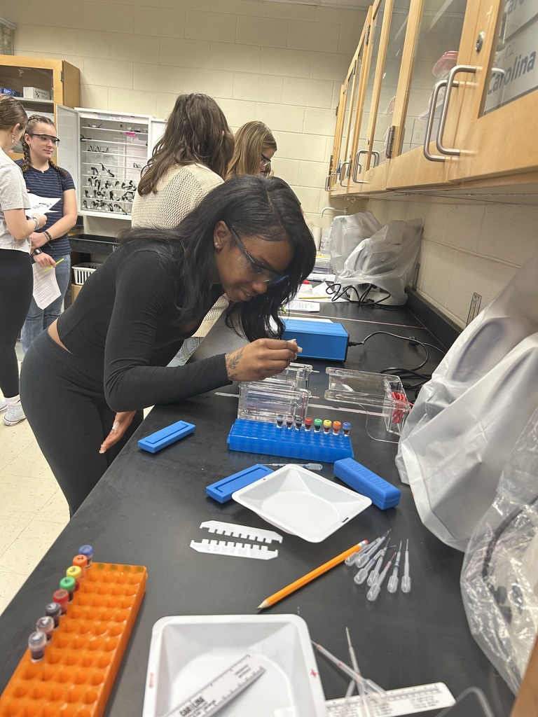 Students participate in a biotechnology lab in biology class.