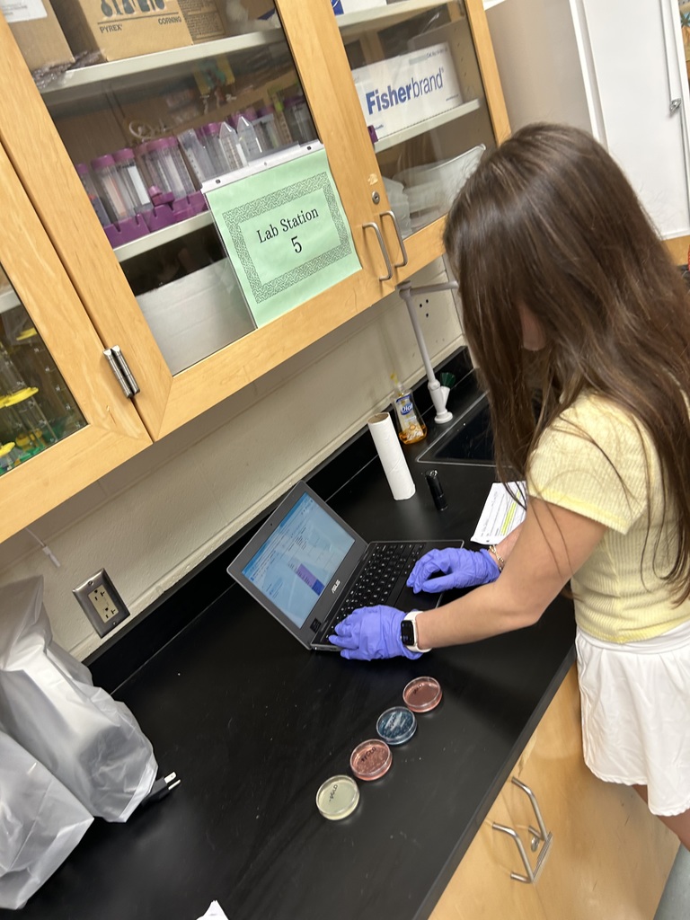 A student participates in a biotechnology lab in biology class.