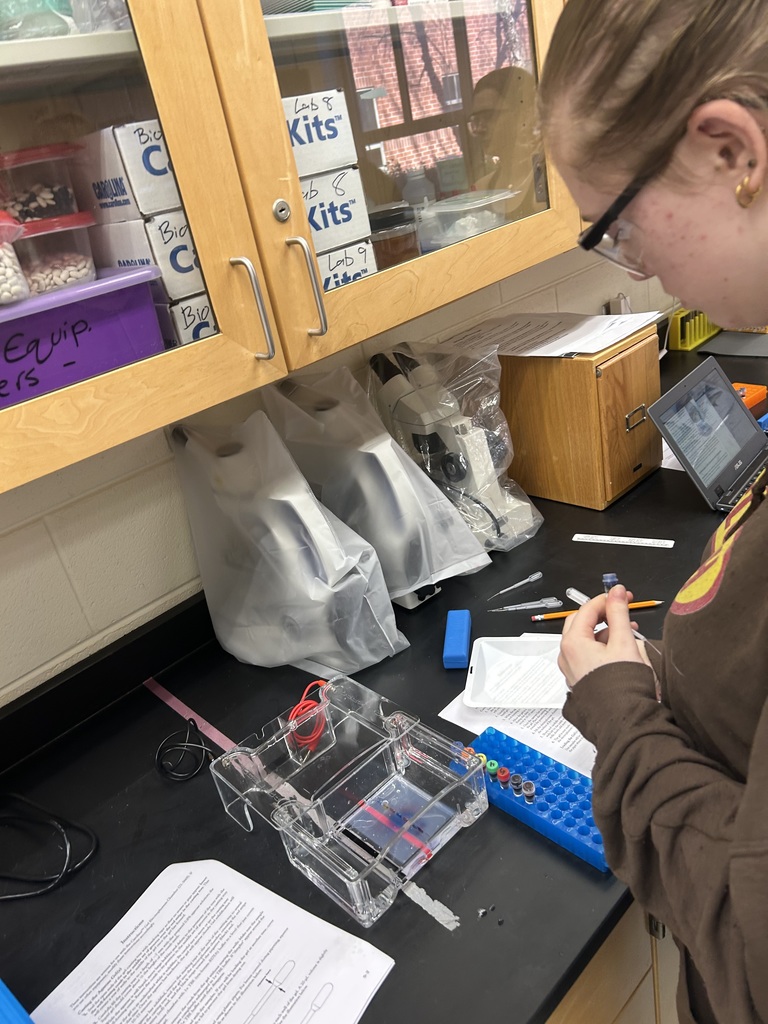A student participates in a biotechnology lab in biology class.