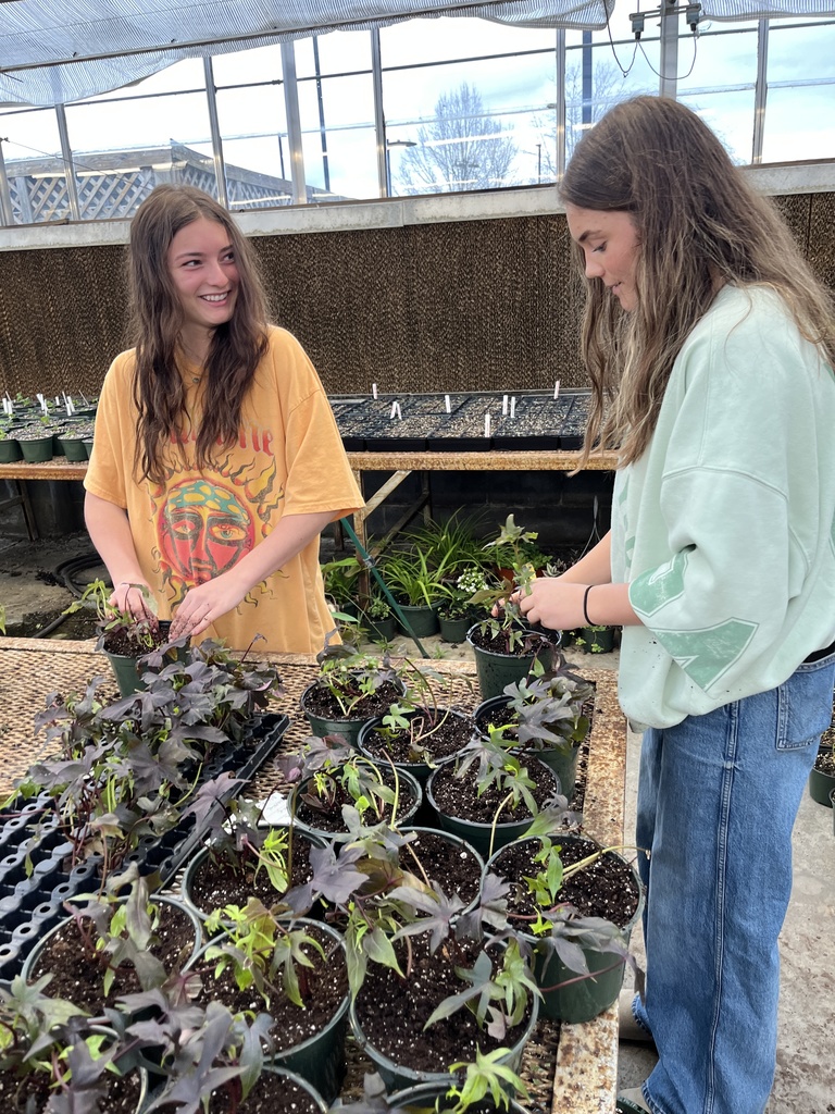 Students  work with plants being grown to sell in a plant sale.