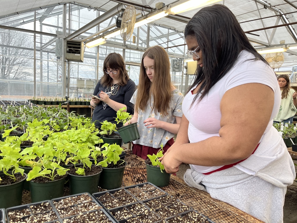 Students  work with plants being grown to sell in a plant sale.