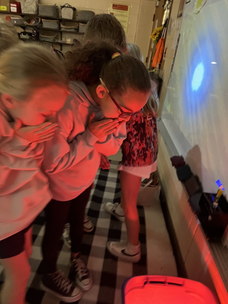 Students look at newly hatched baby chicks under a heat lamp in their classroom.