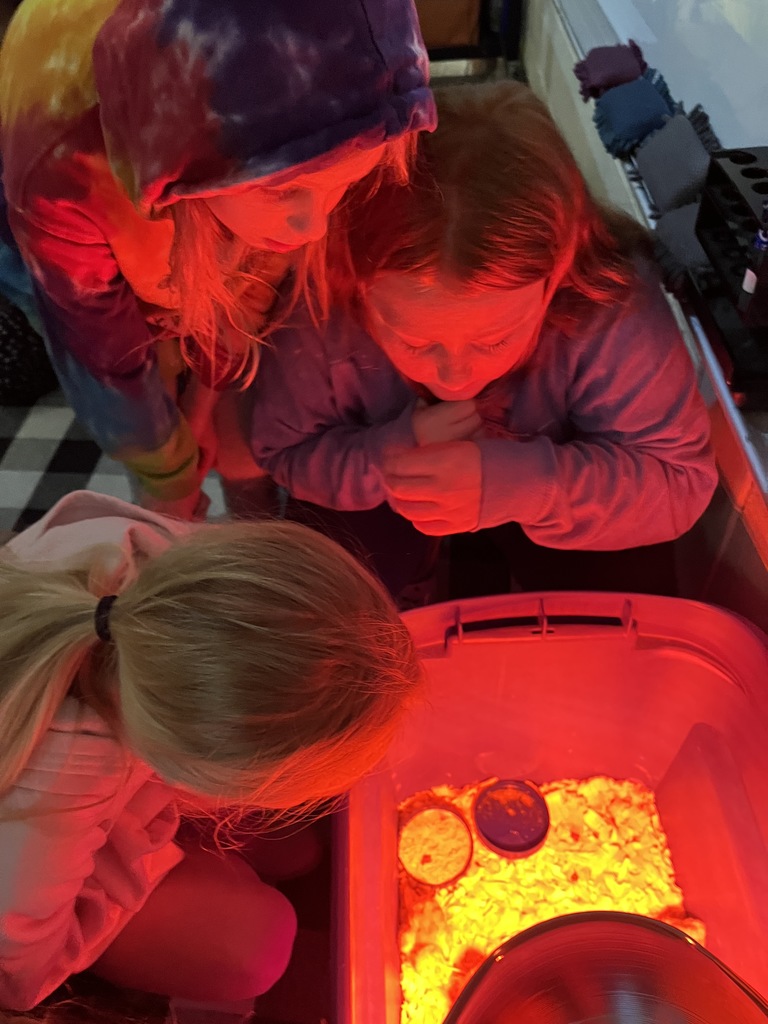 Students look at newly hatched baby chicks under a heat lamp in their classroom.