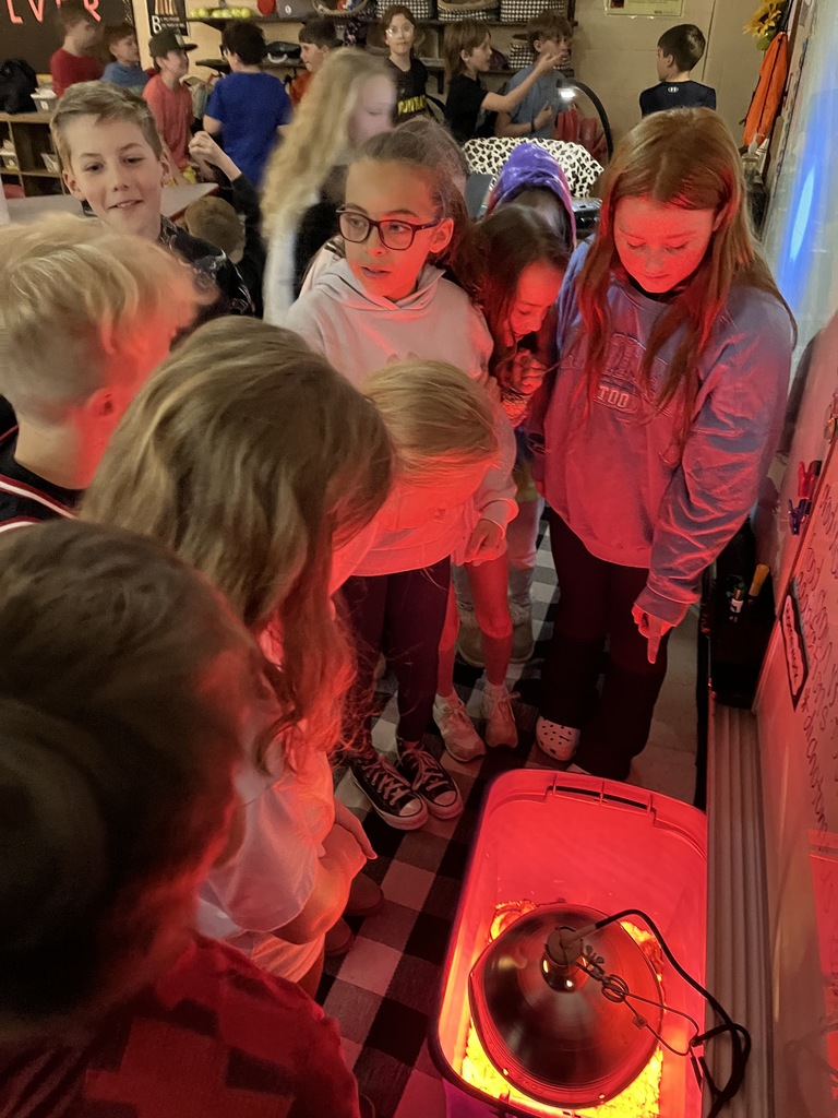 Students look at newly hatched baby chicks under a heat lamp in their classroom.