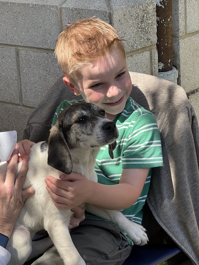 A child cuddles a dog. 