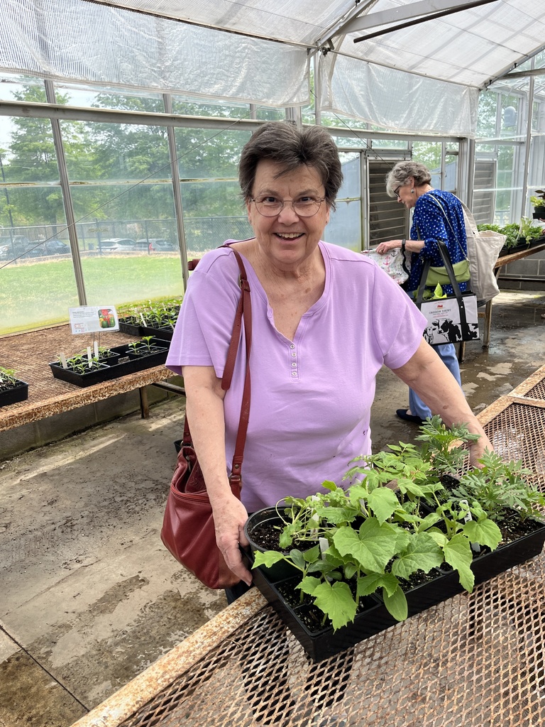A woman browses plants  at a plant sale.