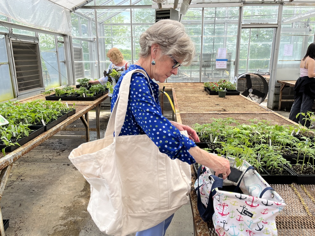 A woman browses plants  at a plant sale.
