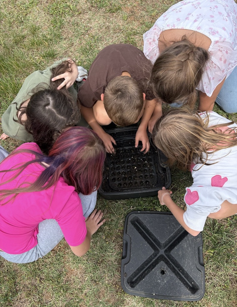 A group of students look at worms in a vermiculture box.