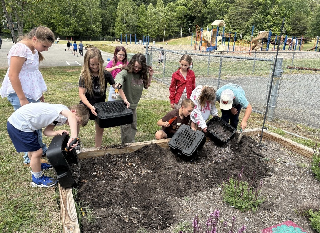 A group of students empty worms from a vermiculture box into a garden.