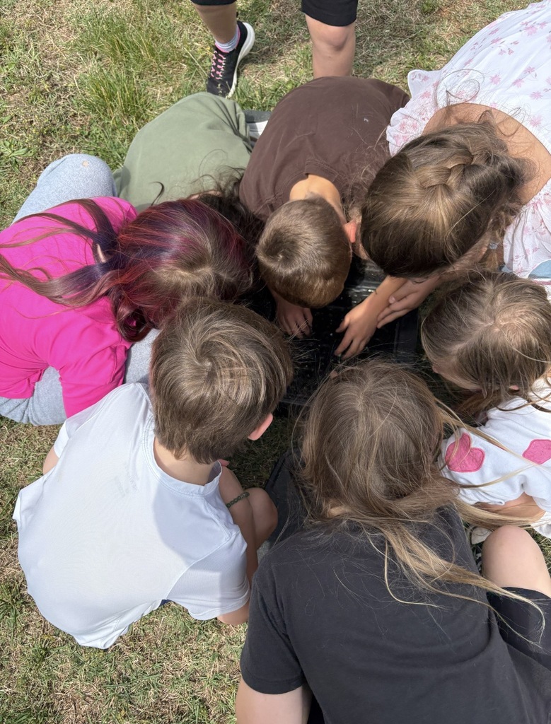 A group of students look at worms in a vermiculture box.