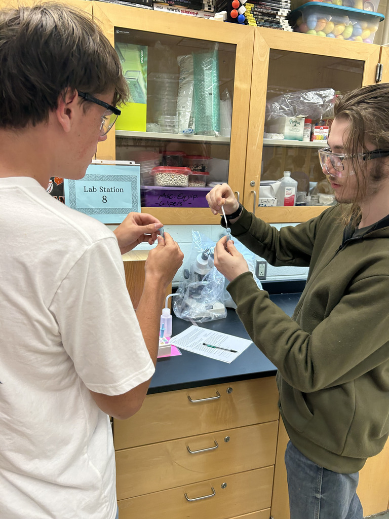 Biology students use the ELISA technique to test samples for the highly contagious “disease” known as senior-itis. 