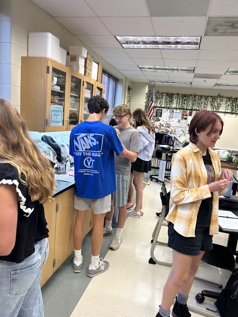 Biology students use the ELISA technique to test samples for the highly contagious “disease” known as senior-itis. 