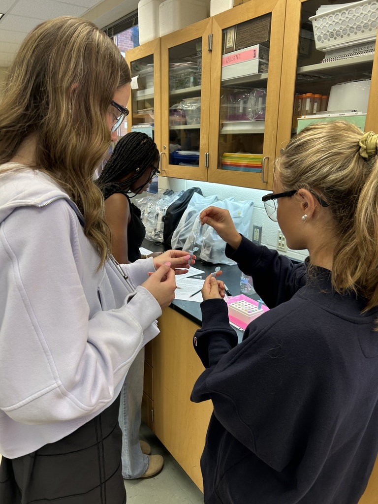 Biology students use the ELISA technique to test samples for the highly contagious “disease” known as senior-itis. 