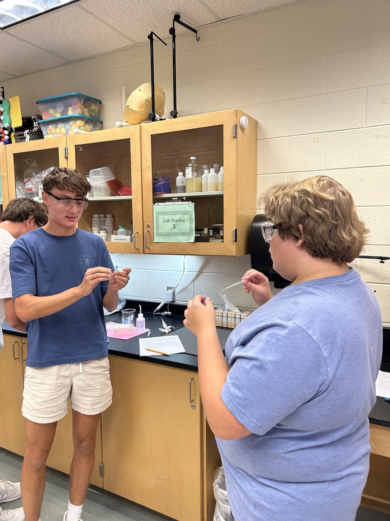 Biology students use the ELISA technique to test samples for the highly contagious “disease” known as senior-itis. 