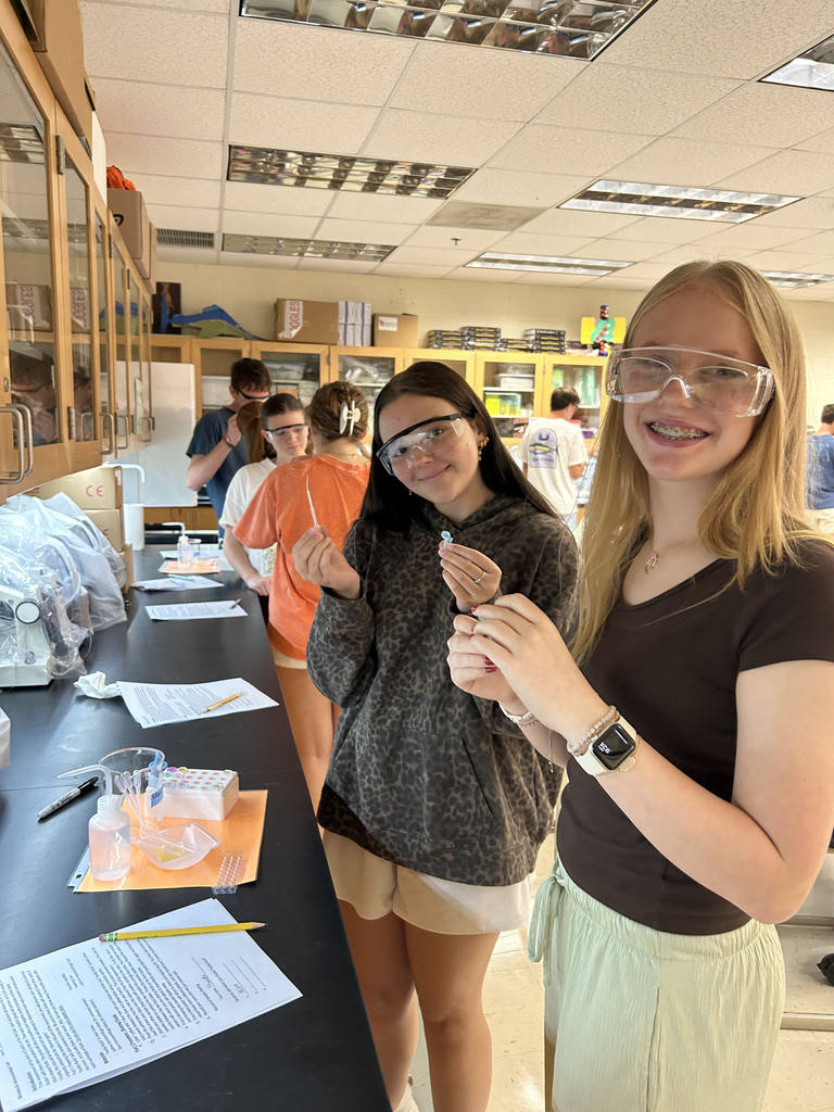 Biology students use the ELISA technique to test samples for the highly contagious “disease” known as senior-itis. 
