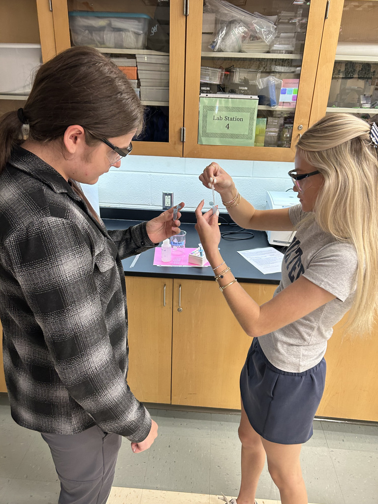 Biology students use the ELISA technique to test samples for the highly contagious “disease” known as senior-itis. 