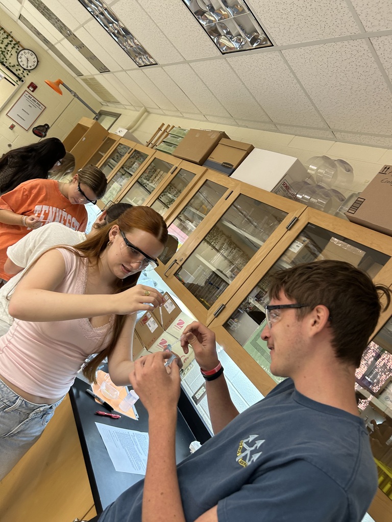 Biology students use the ELISA technique to test samples for the highly contagious “disease” known as senior-itis. 