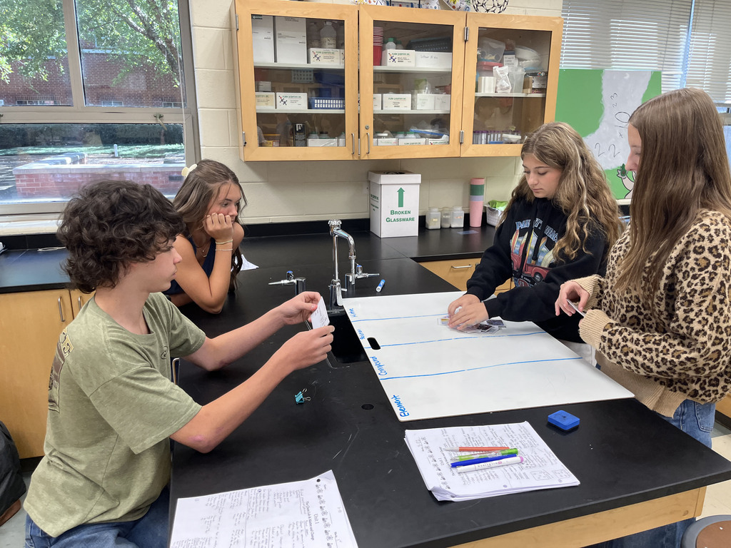 Chemistry students participate in a station exercise where they practice classifying the different types of matter. 