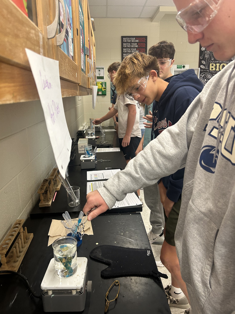 Biology students conduct an investigation to determine if digestive enzymes were responsible for breaking down complex carbohydrates to simple carbohydrates .