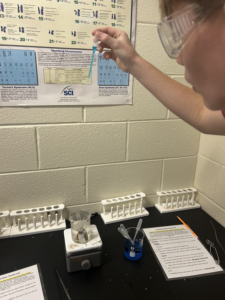 Biology students conduct an investigation to determine if digestive enzymes were responsible for breaking down complex carbohydrates to simple carbohydrates .