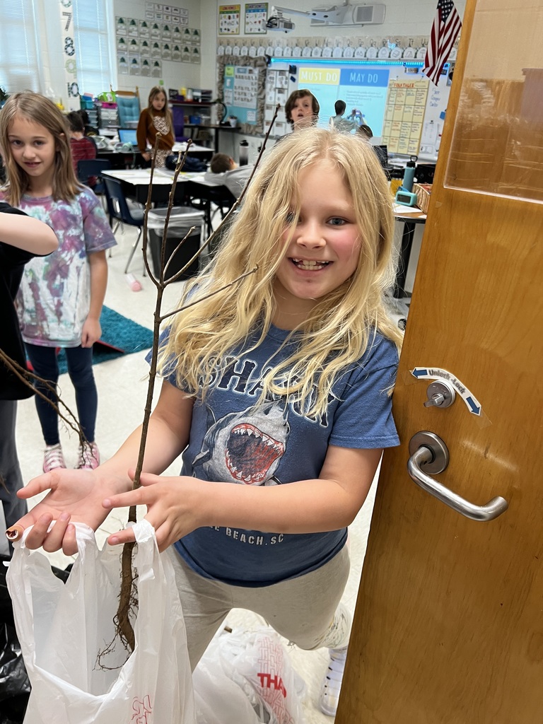 A child holds a tree seedling she can take home and plant.
