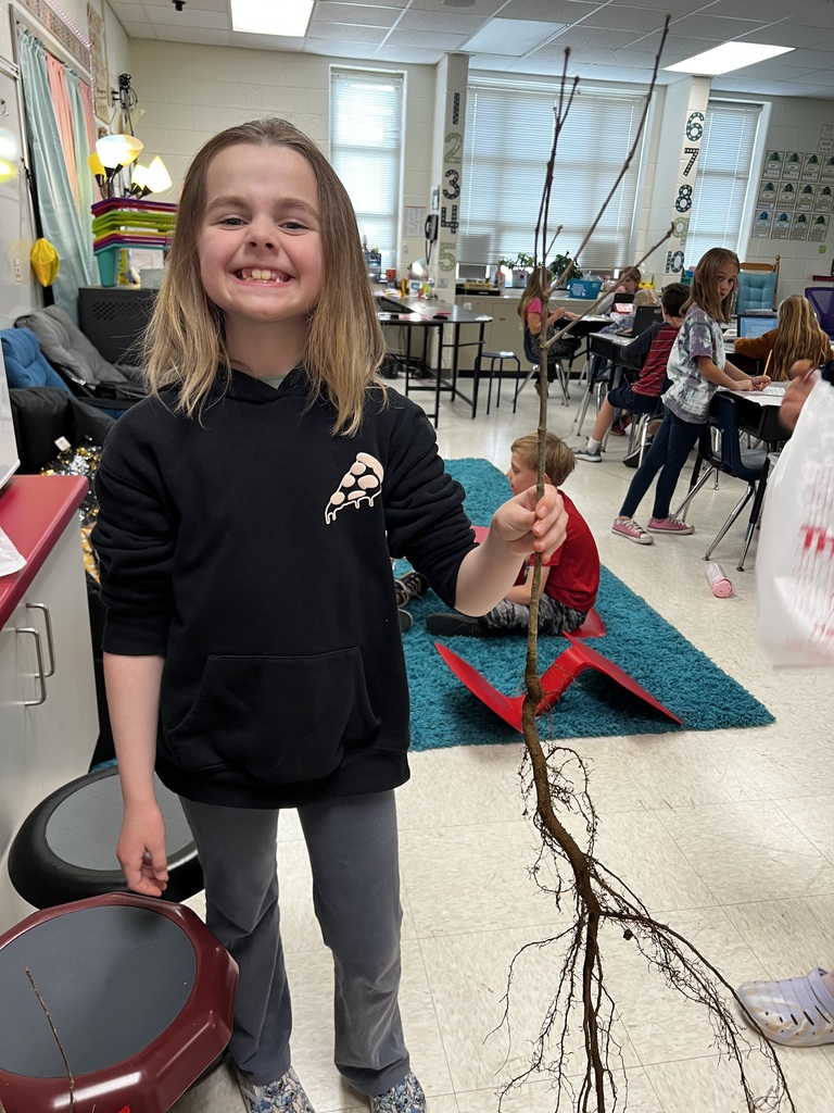 A child holds a tree seedling she can take home and plant.
