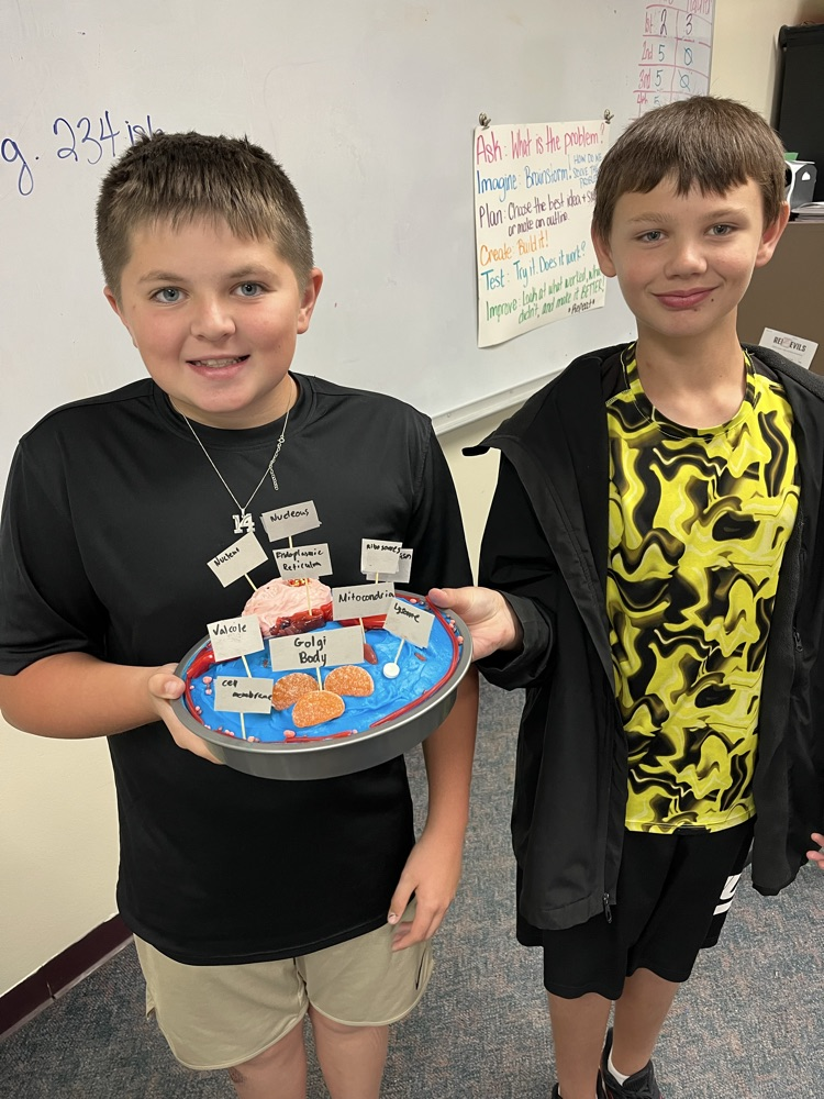 Edible Cell Projects