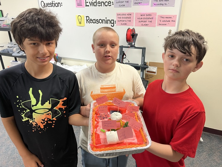 Edible Cell Projects