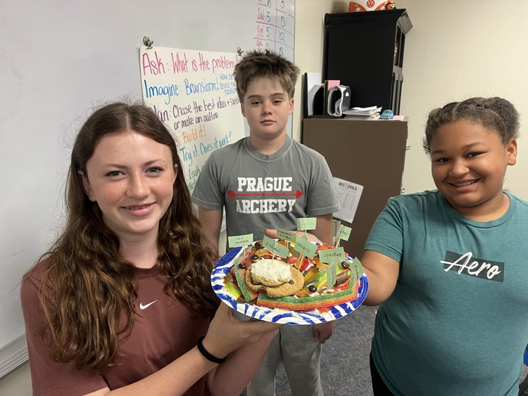 Edible Cell Projects