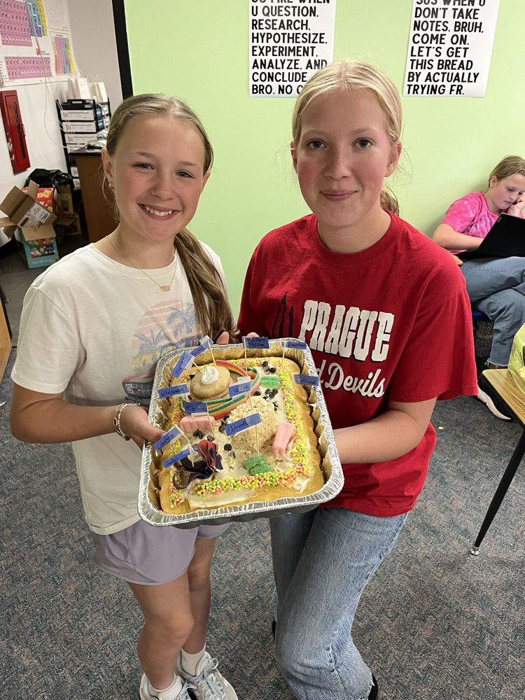 Edible Cell Projects