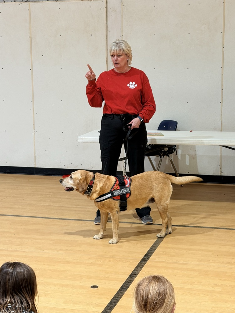 search dog 