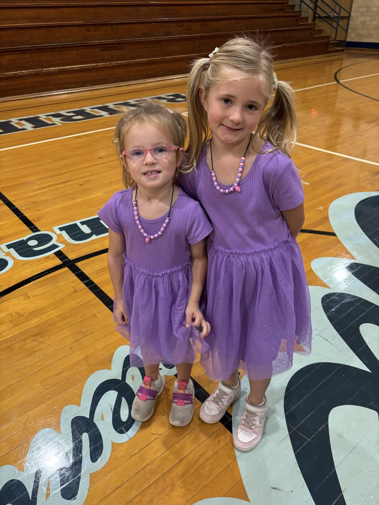 Twin day