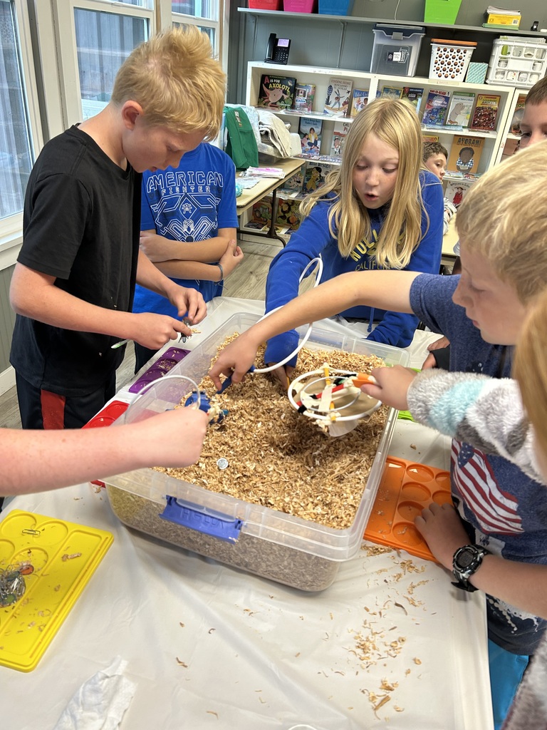 5th Grade learned about magnetic fields for STEM, and created their own magnets.