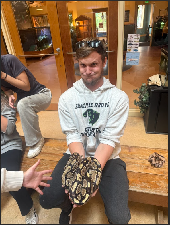 snake