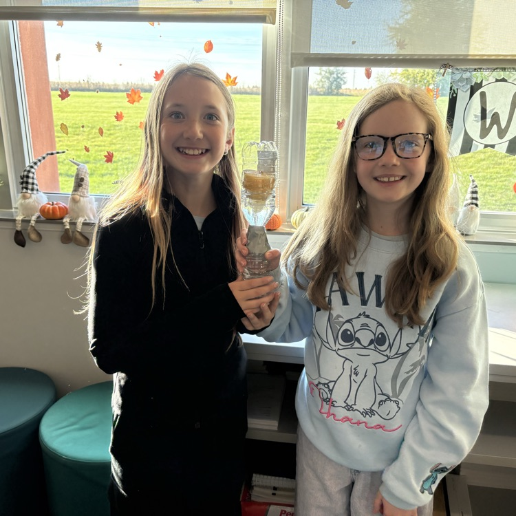 5th grade building hydroponic gardens out of recycled materials 🪴