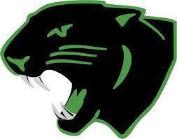 panther