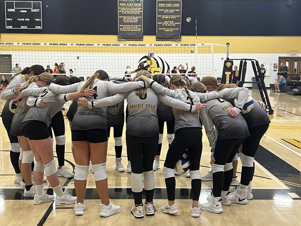 vb